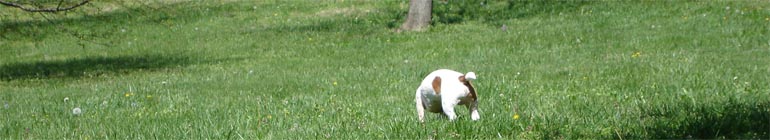 Wecam intercourse live gay chat for guest login sole header image 2 Wecam intercourse live gay chat for guest login sole header image 2